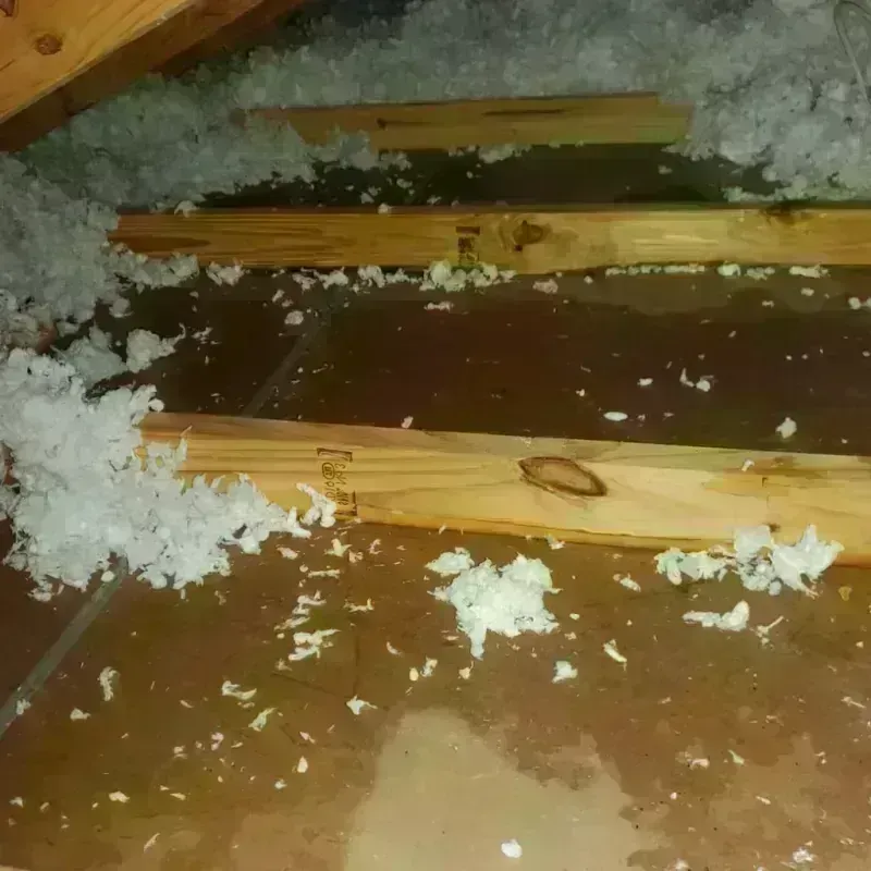 Attic Water Damage in Fort Branch, IN